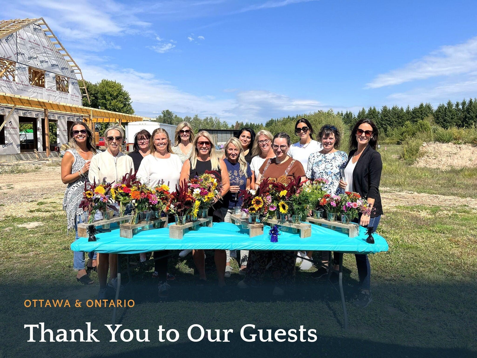 Olive Oil Tasting Ottawa | Greek EVOO Tasting Experience