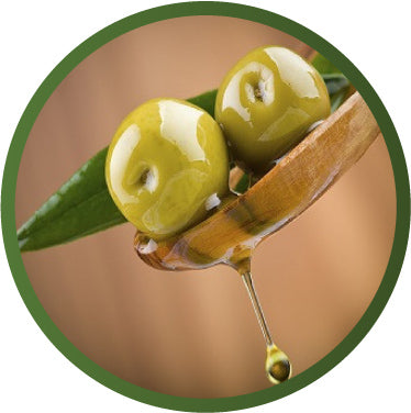Best Greek Flavour Extra Virgin Olive Oils, Ottawa Canada