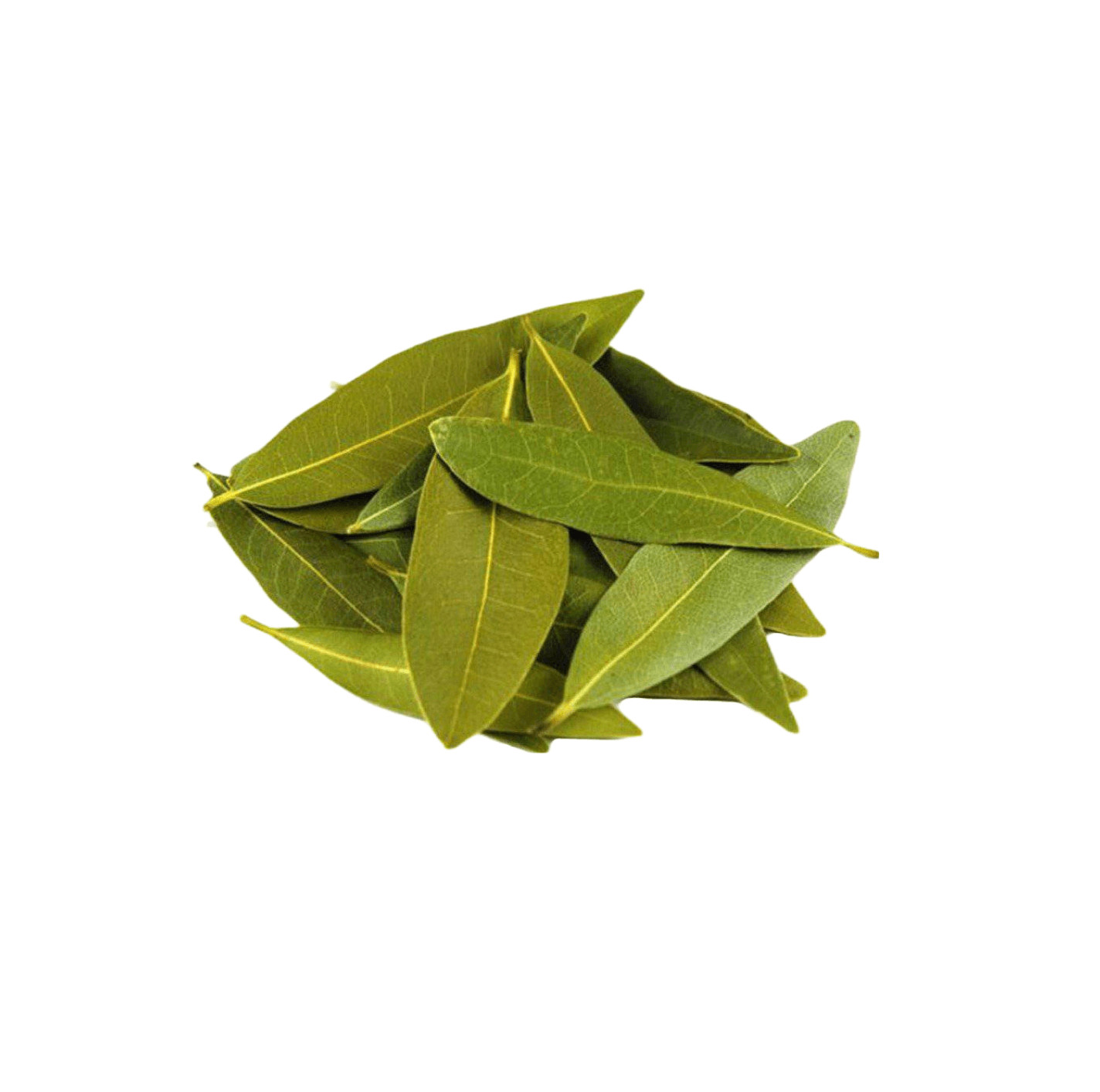 Organic Aromatic Bay Leaves from the Mountains in Southern Greece