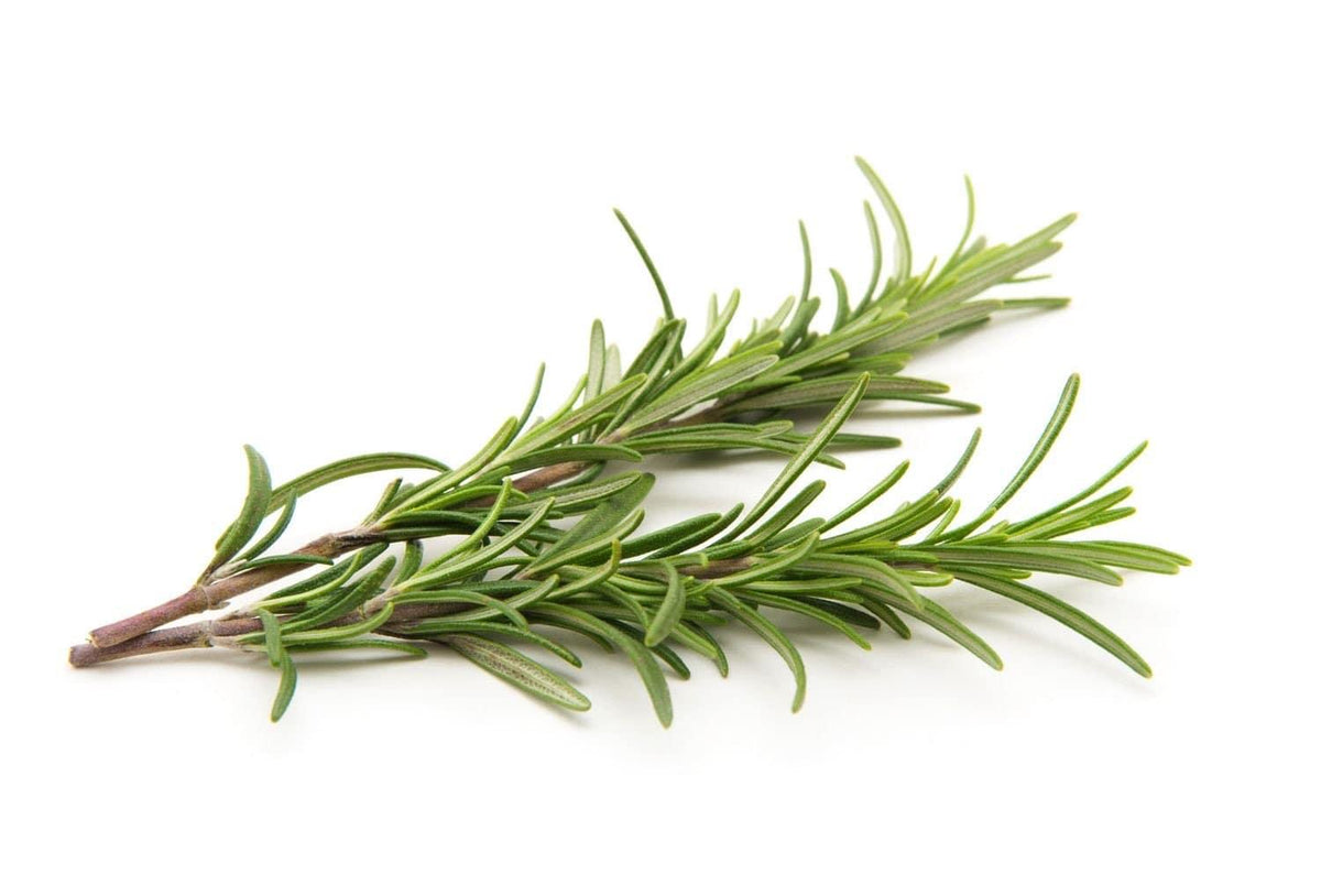 Gourmet Rosemary Infused Extra Virgin Olive Oil