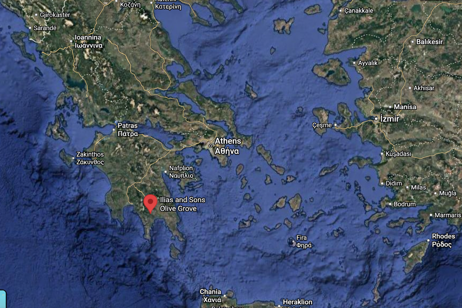 Satellite view of olive groves